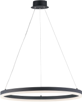 

Потолочный светильник Ledberry, Led 20214-6 SBK