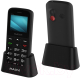 Мобильный телефон Maxvi B100ds (черный+ЗУ) - 