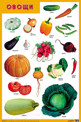 Развивающий плакат Мозаика-Синтез Овощи / МС11883