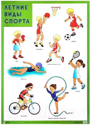 Развивающий плакат Мозаика-Синтез Летние виды спорта / МС11916