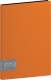 Папка для бумаг Berlingo Color Zone / AVp_40116 (40 вкладышей, оранжевый) - 