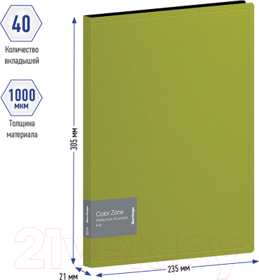 Папка для бумаг Berlingo Color Zone / AVp_40119 (40 вкладышей, салатовый)