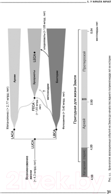 Изображение товара Книга Альпина Евангелие от LUCA. В поисках родословной животного мира (Винарский М.)