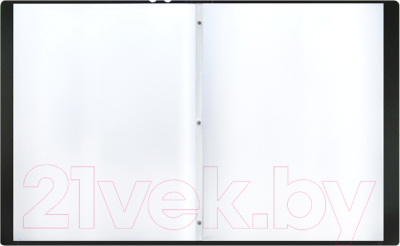 Изображение товара Папка для бумаг Berlingo Steel&Style / PPf_96001 (40 вкладышей, черный)