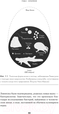 Книга Альпина Не один дома (Данн Р.)