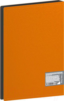 Папка для бумаг Berlingo Color Zone / AVp_80116 (80 вкладышей, оранжевый)