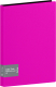 Папка для бумаг Berlingo Color Zone / AVp_80113 (80 вкладышей, розовый) - 