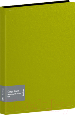 Папка для бумаг Berlingo Color Zone / AVp_80119 (80 вкладышей, салатовый)