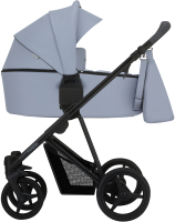 Детская универсальная коляска Bebetto Flavio Pro 2 в 1 черная рама (04) - 