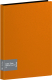 Папка для бумаг Berlingo Color Zone / AVp_100116 (100 вкладышей, оранжевый) - 