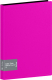 Папка для бумаг Berlingo Color Zone / AVp_100113 (100 вкладышей, розовый) - 