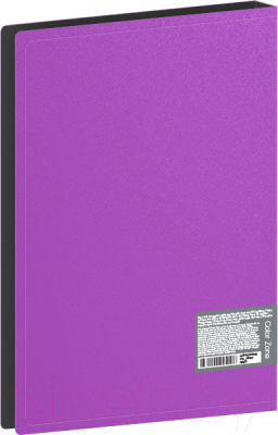Папка для бумаг Berlingo Color Zone / AVp_100107 (100 вкладышей, фиолетовый)