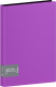 Папка для бумаг Berlingo Color Zone / AVp_100107 (100 вкладышей, фиолетовый) - 