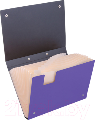 Папка-портфель Berlingo Skyline / MF4201_e (фиолетовый)
