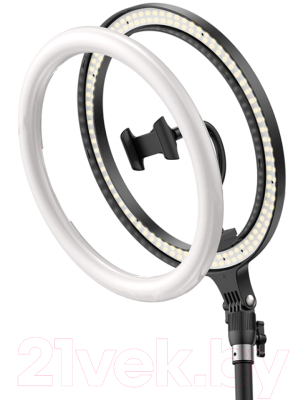 Кольцевая лампа Baseus Live Stream Holder-floor Stand / CRZB12-B01-2 (черный)