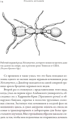 Книга Альпина Планета муравьев (Уилсон Э.)