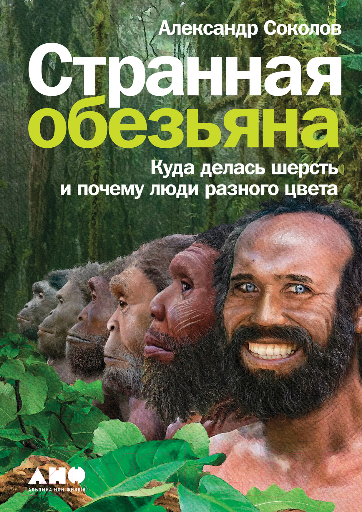 Нехудожественная книга Альпина Странная обезьяна. Куда делась шерсть (Соколов А.)