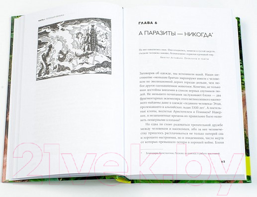 Нехудожественная книга Альпина Странная обезьяна. Куда делась шерсть (Соколов А.) — фото 5