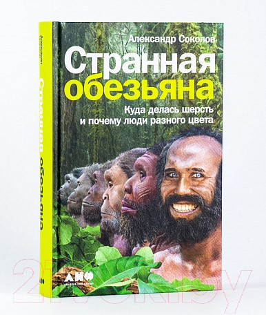Нехудожественная книга Альпина Странная обезьяна. Куда делась шерсть (Соколов А.) — фото 2