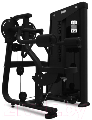 Изображение товара Силовой тренажер Bronze Gym Neo 05