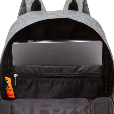 Рюкзак Grizzly RQL-218-2 (серый)