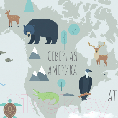 Фотообои листовые Citydecor Карта мира на русском 10 (500x260)