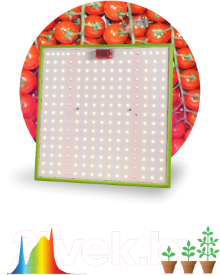 Светильник для растений ЭРА Quantum Board FITO-80W-LED-QB / Б0053285