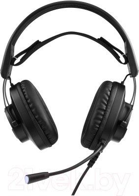 Изображение товара Наушники-гарнитура GMNG HS-L570G