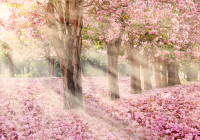 

Фотообои листовые Citydecor, Сказочная природа 5 с защитным покрытием