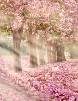 

Фотообои листовые Citydecor, Сказочная природа 5 с защитным покрытием