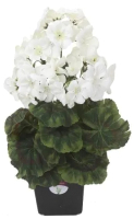 Искусственный цветок GrenTrade Герань Аял 71291-3 (белый) - 
