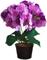 Искусственный цветок GrenTrade Гортензия Стаффи 8804-6  (пурпурный) - 