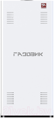 Газовый котел Лемакс Газовик АОГВ 29.1