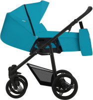 Детская универсальная коляска Bebetto Nico Plus черная рама (09) - 