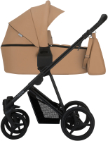 Детская универсальная коляска Bebetto Flavio Pro 2 в 1 черная рама (03) - 