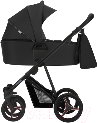 Детская универсальная коляска Bebetto Flavio Pro 2 в 1 черная рама