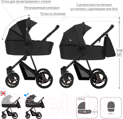 Изображение товара Детская универсальная коляска Bebetto Flavio Pro 2 в 1 черная рама (06)