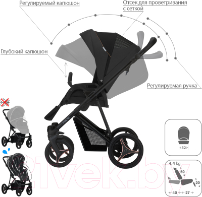 Изображение товара Детская универсальная коляска Bebetto Flavio Pro 2 в 1 черная рама (06)
