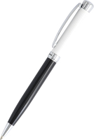 Ручка шариковая имиджевая Manzoni Alessandria с футляром / ALS5013-BM - 