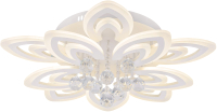 

Потолочный светильник Rilon Lighting, 55387/5+5 WT