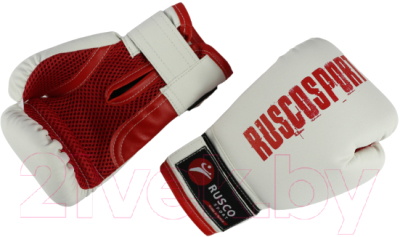 Боксерские перчатки RuscoSport 6oz (белый/красный)