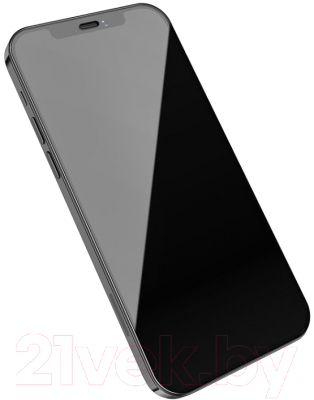 Защитное стекло для телефона Hoco A19 HD для iPhone 12 Pro Max (черный)