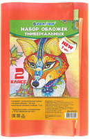 

Набор обложек Darvish, 2 класс / DV-4121C