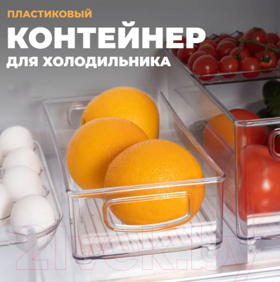 Контейнер для холодильника Berossi Berkana ИК 68400000 (прозрачный)