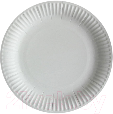 Набор одноразовых тарелок Golden Brown Snack Plate 180мм (100шт, белый)