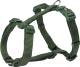 Шлея Trixie Premium H-harness 203219 (XS/S, лес) - 
