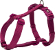Шлея Trixie Premium H-harness 203220 (XS/S, орхидея) - 