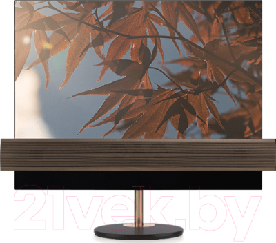 Телевизор Bang & Olufsen BeoVision Eclipse 65 / 1860688 (черный)