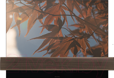 Звуковая панель (саундбар) Bang & Olufsen BeoVision Eclipse 65 / 1860742 (латунь)