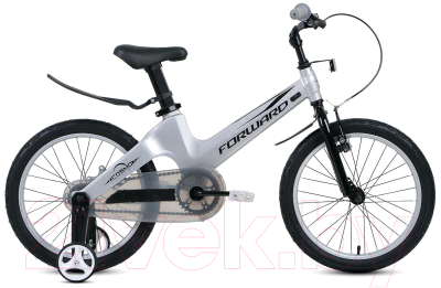 Детский велосипед Forward Cosmo 18 2022 / IBK22FW18192 (серый)
